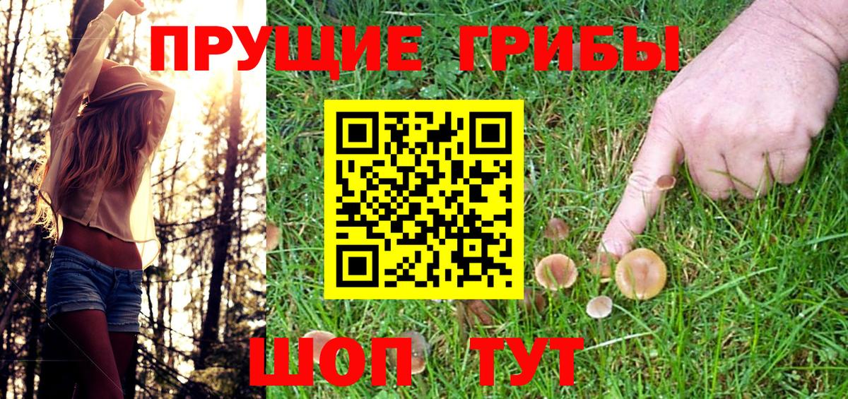 Псилоцибиновые грибы MAGIC MUSHROOMS  Псилоцибиновые грибы MAGIC MUSHROOMS  где можно купить   Вход с VPN  Баксан 